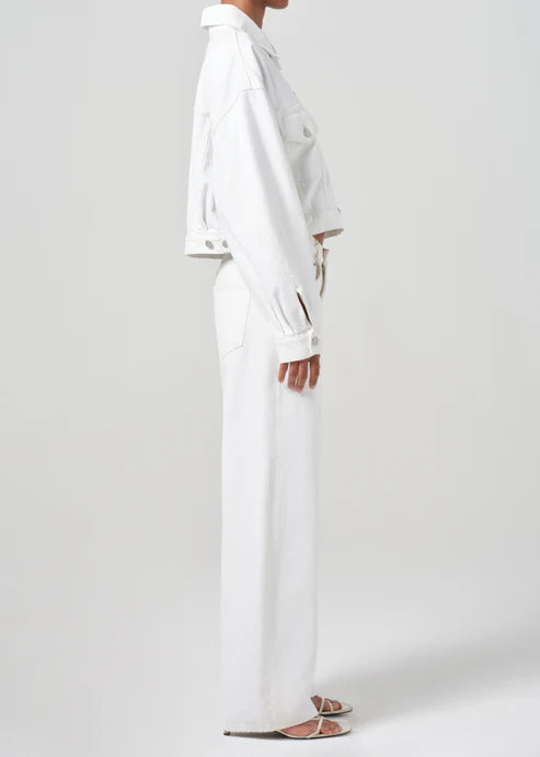 AGOLDE LOW CURVE JEAN IN MILKSHAKE | THE NEW TREND