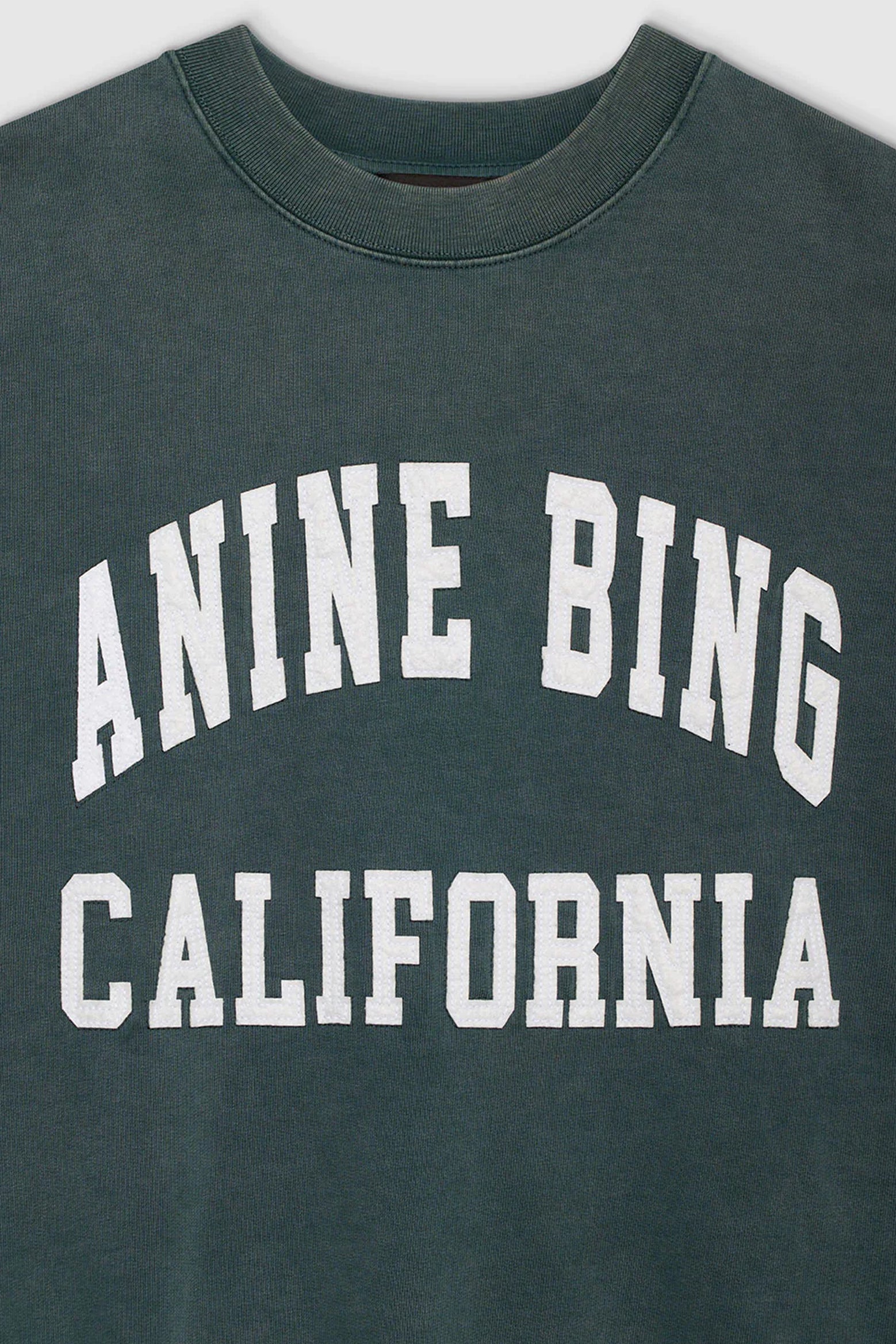 Anine Bing Miles Sweatshirt in Green available at The New Trend Australia.