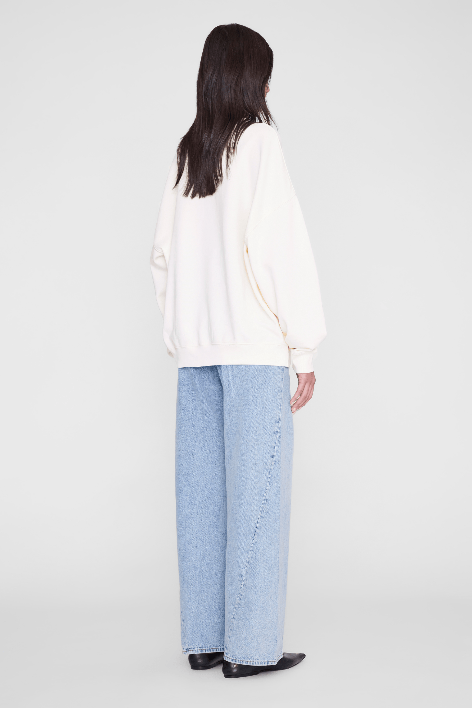 ANINE BING MILES SWEATSHIRT COLLEGIATE | THE NEW TREND