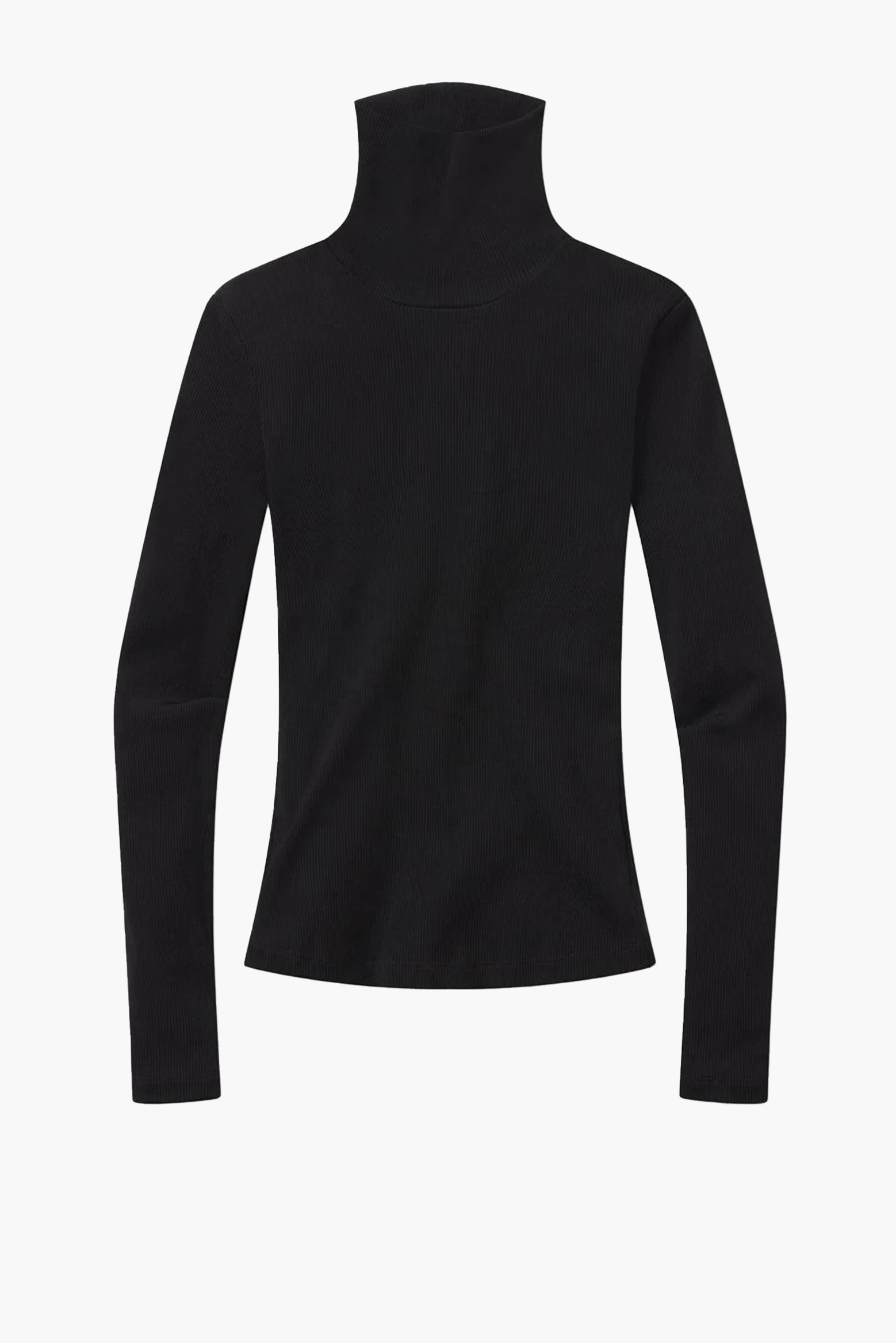 CITIZENS OF HUMANITY CARADENE TURTLENECK | THE NEW TREND