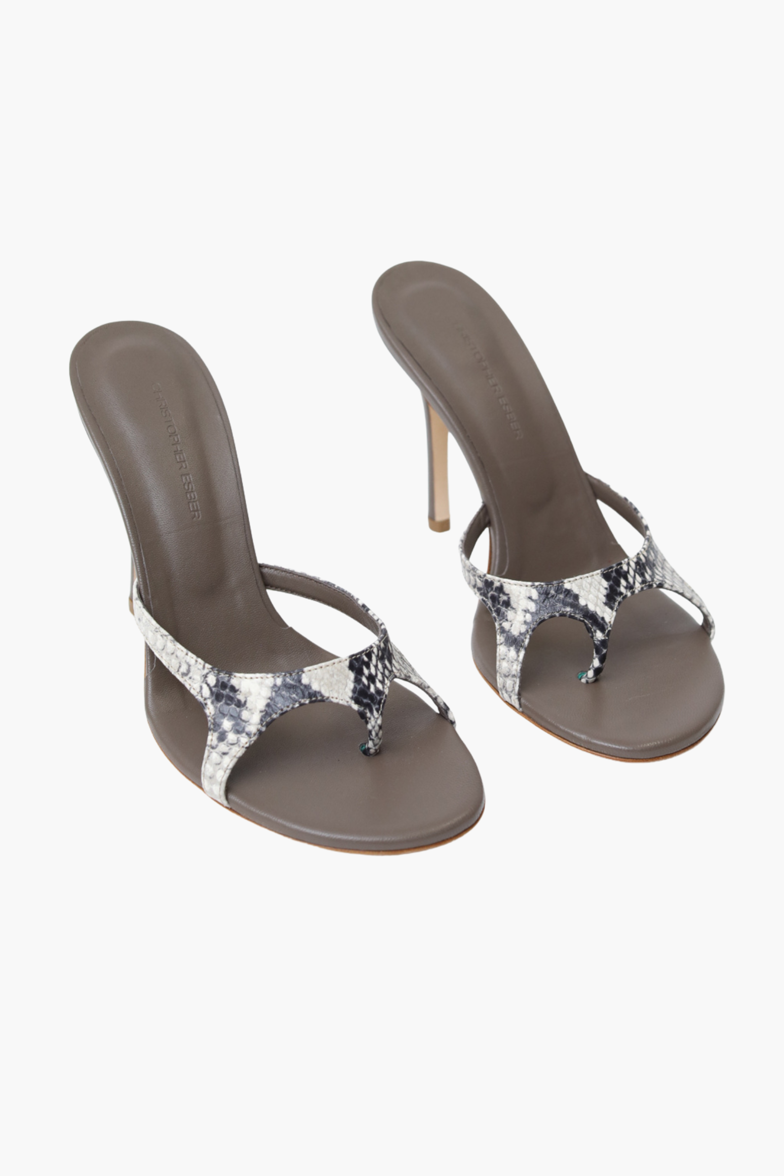 ALOCASIA HEEL