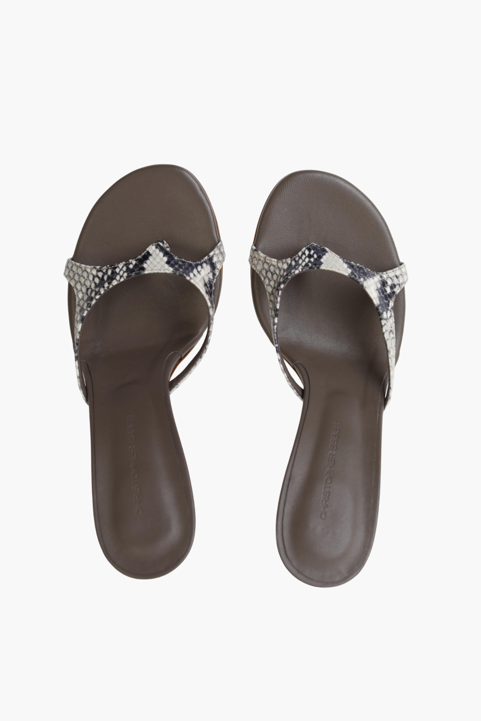ALOCASIA HEEL