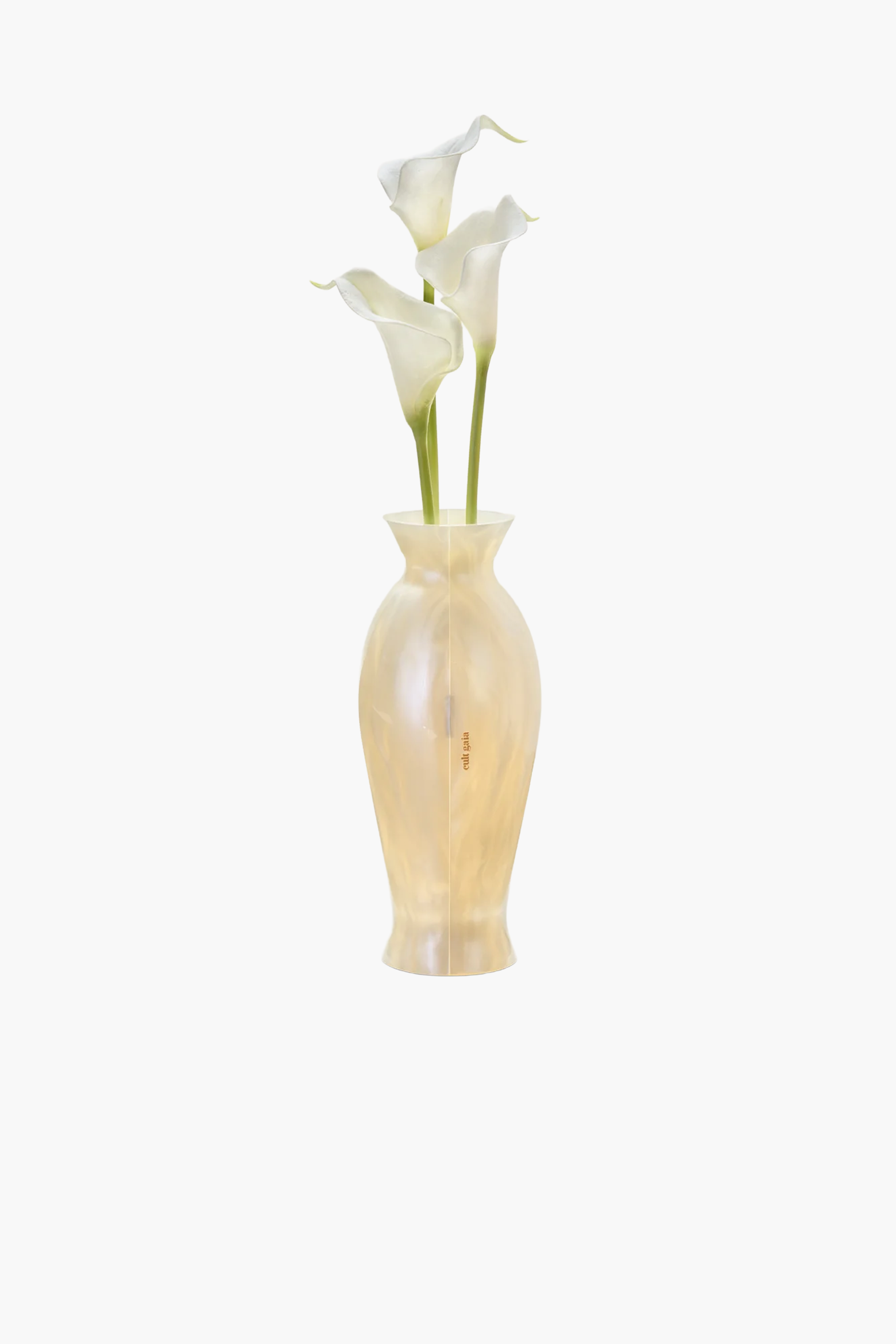 CULT GAIA FLORENCE CLUTCH IN IVORY | THE NEW TREND