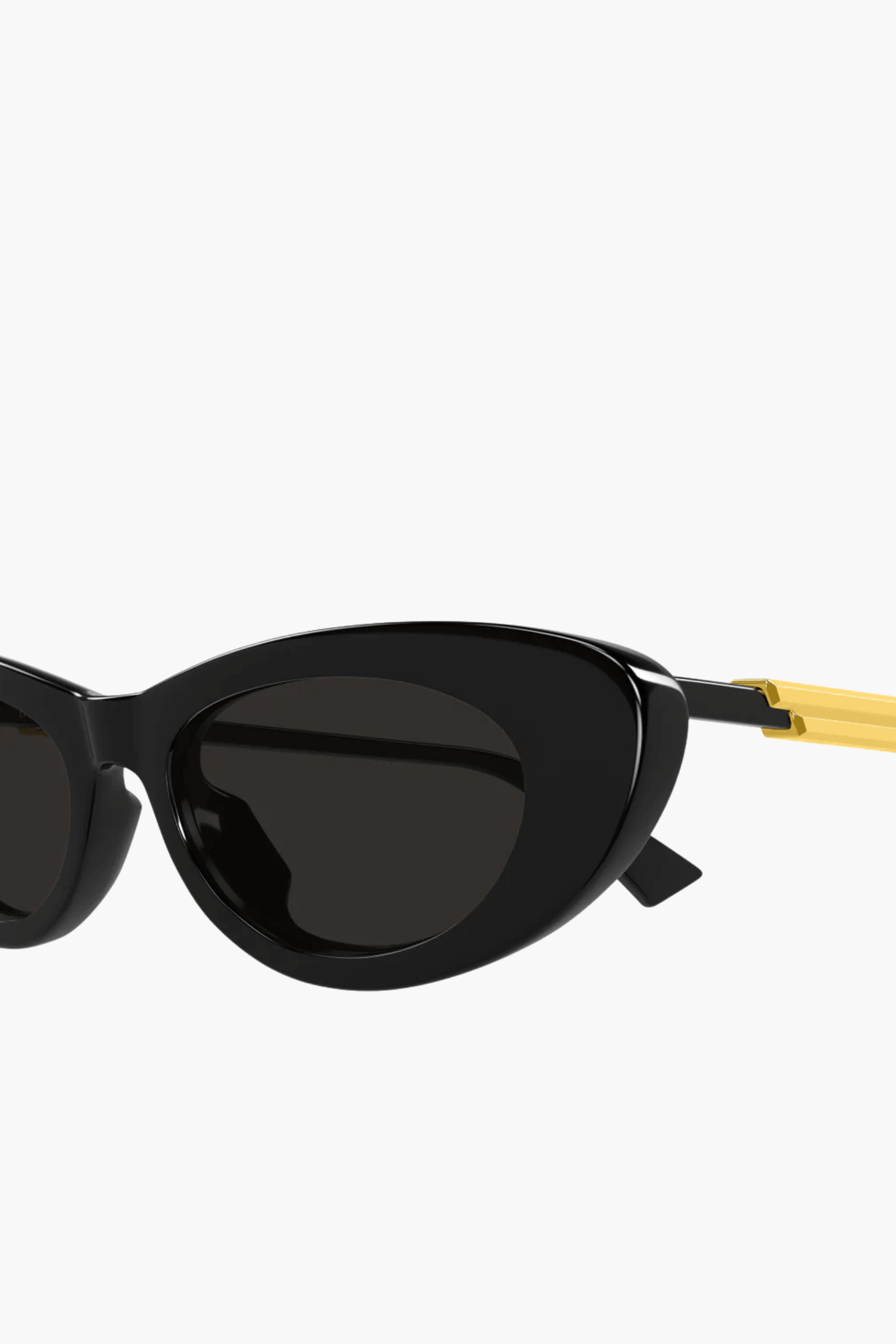 CLASSIC CAT EYE SUNGLASSES
