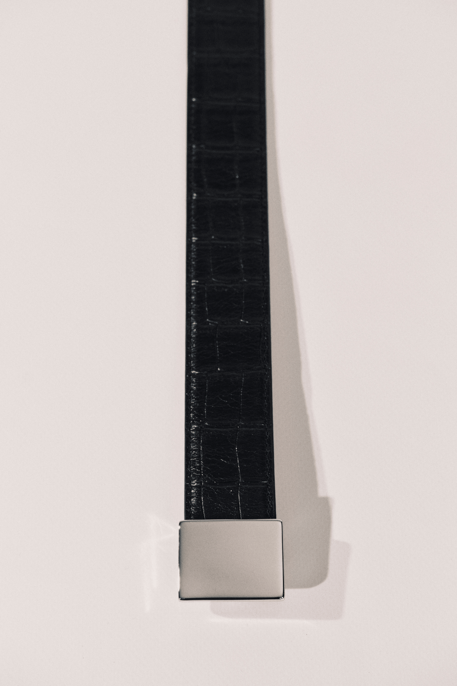 BRANDT ALLIGATOR BELT