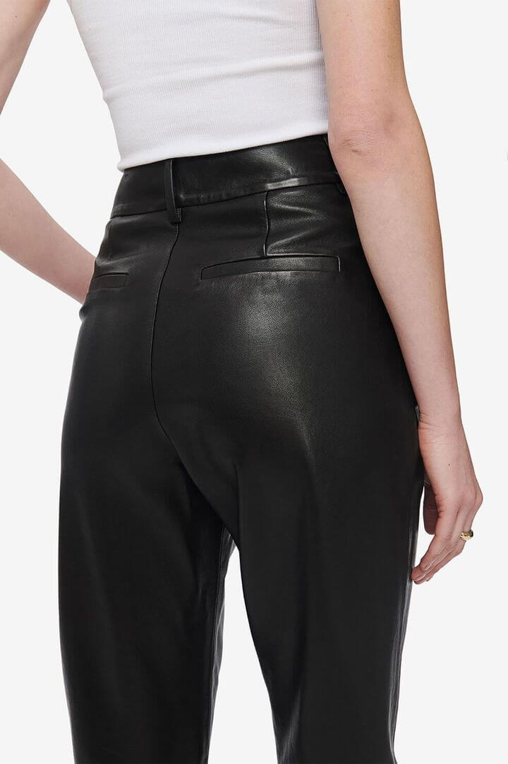 Anine Bing Becky Leather Trouser in Black from The New Trend